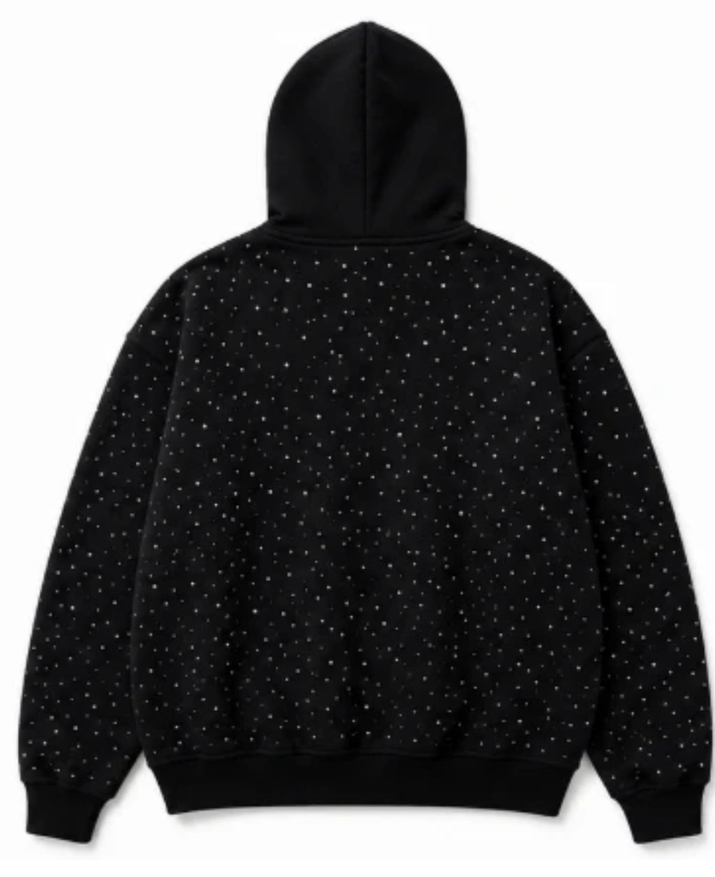 Cropped clean product photo of black One World zip-up hoodie back