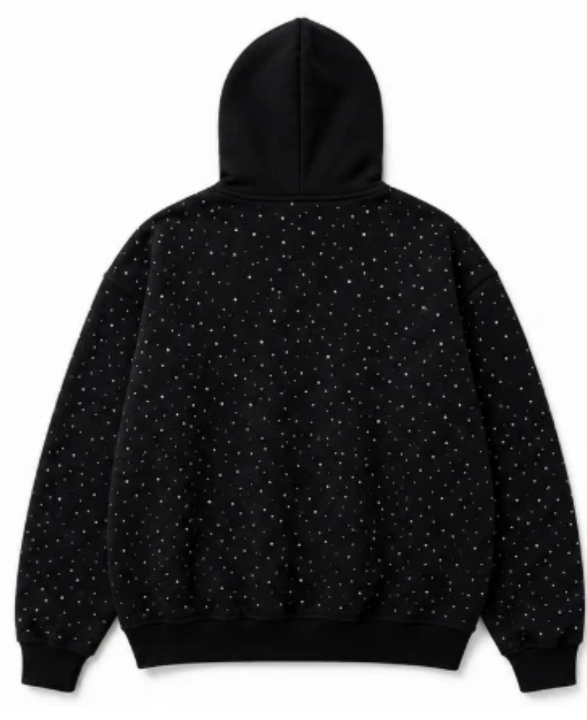Cropped clean product photo of black One World zip-up hoodie back